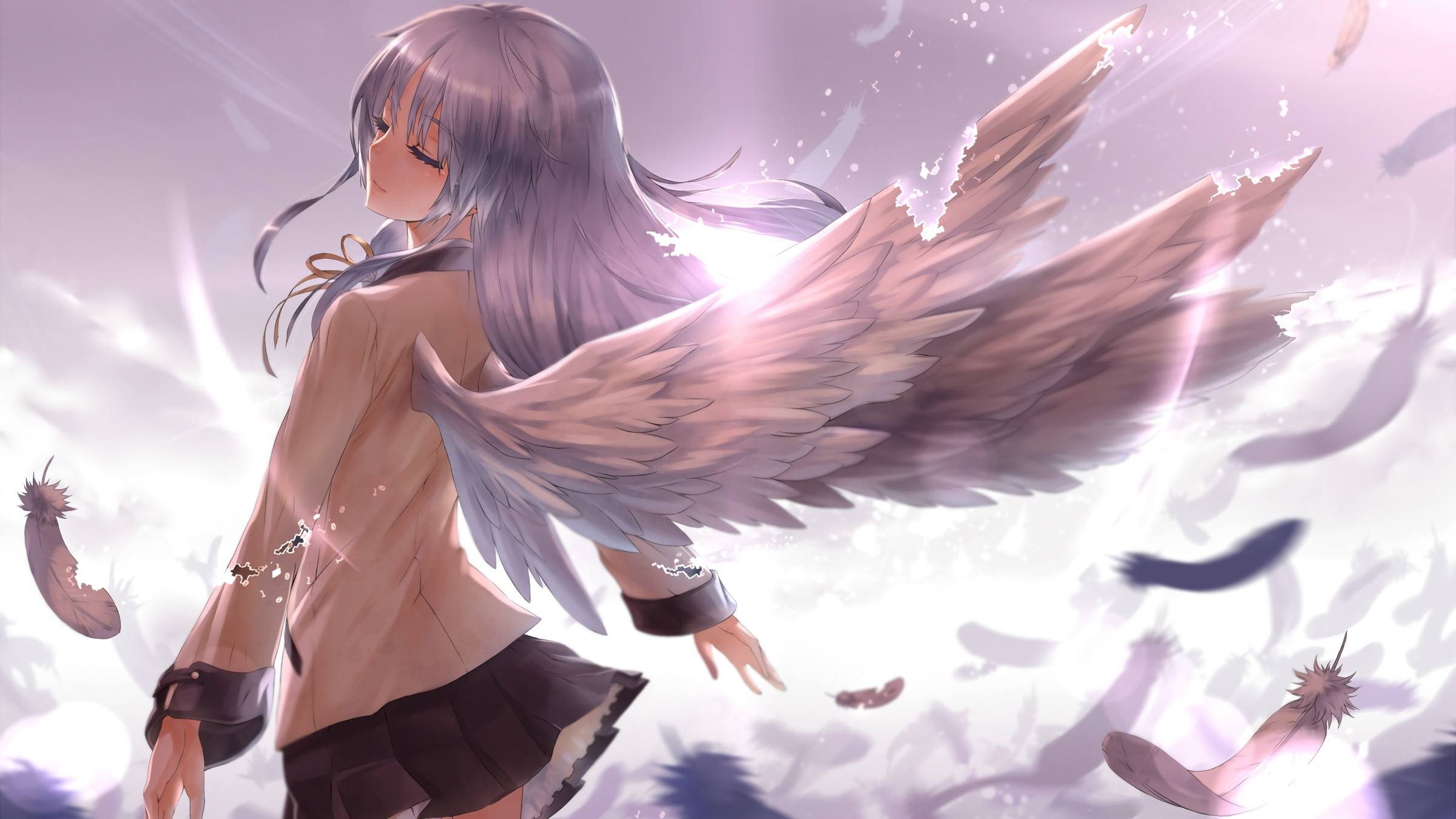 boxmoe_header_banner_img