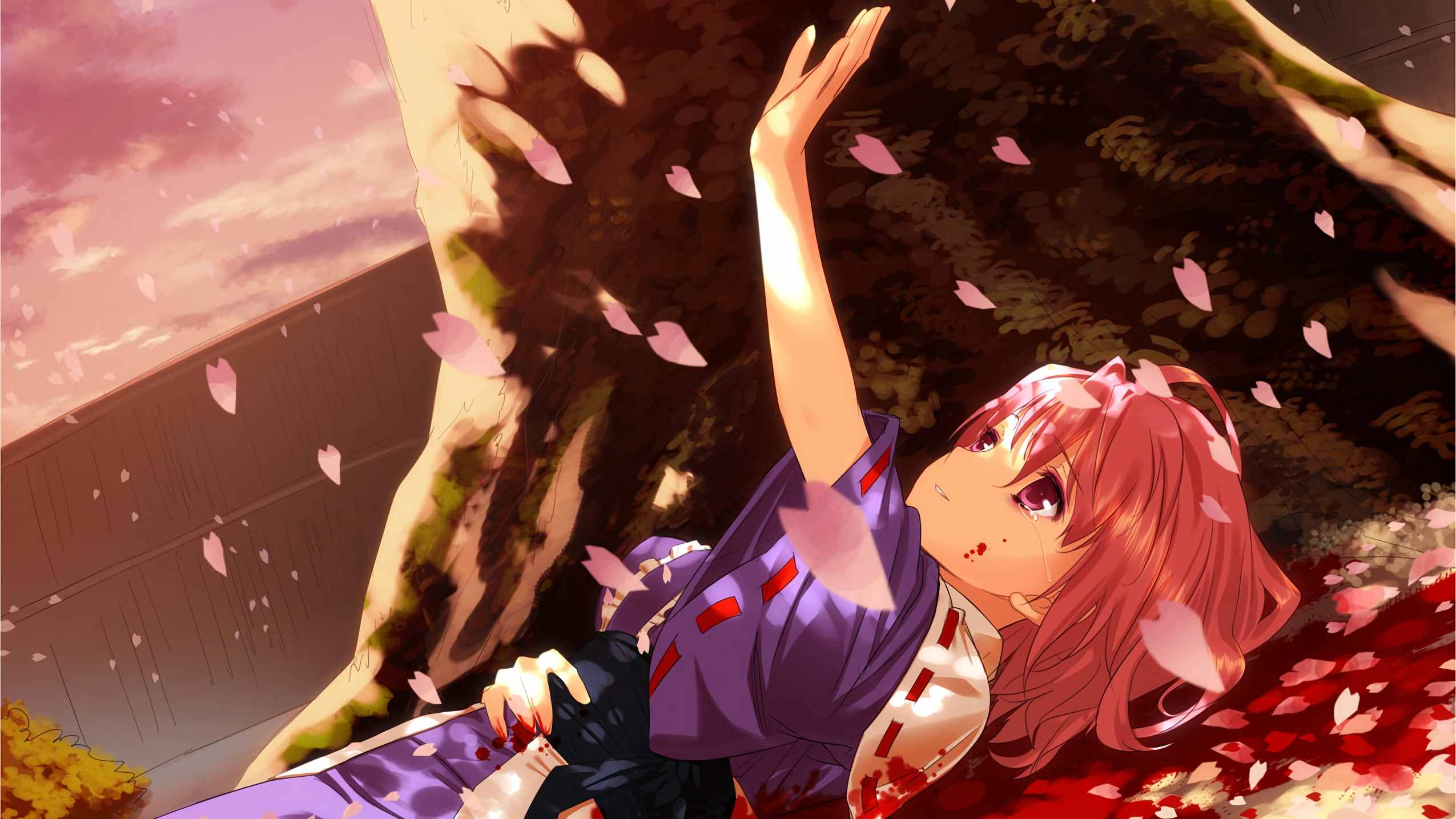 boxmoe_header_banner_img