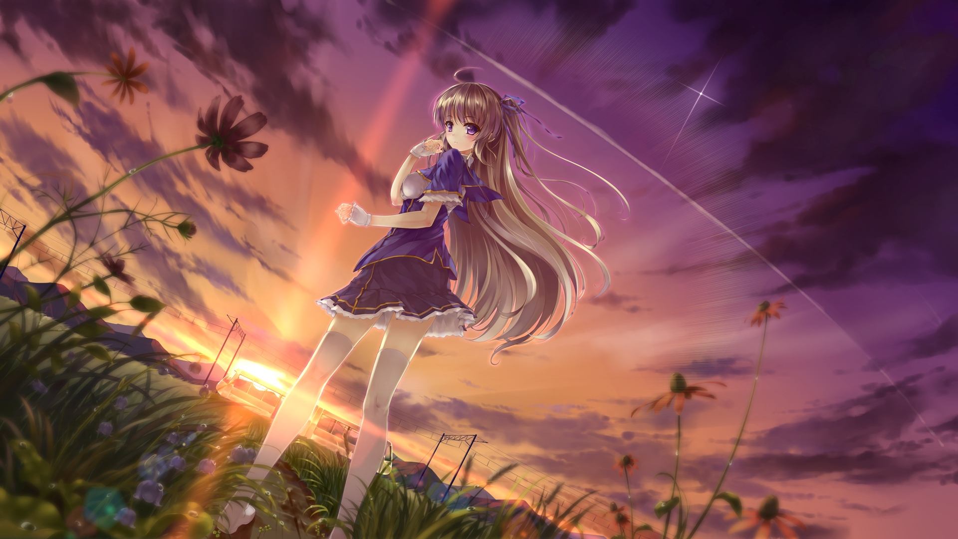 boxmoe_header_banner_img