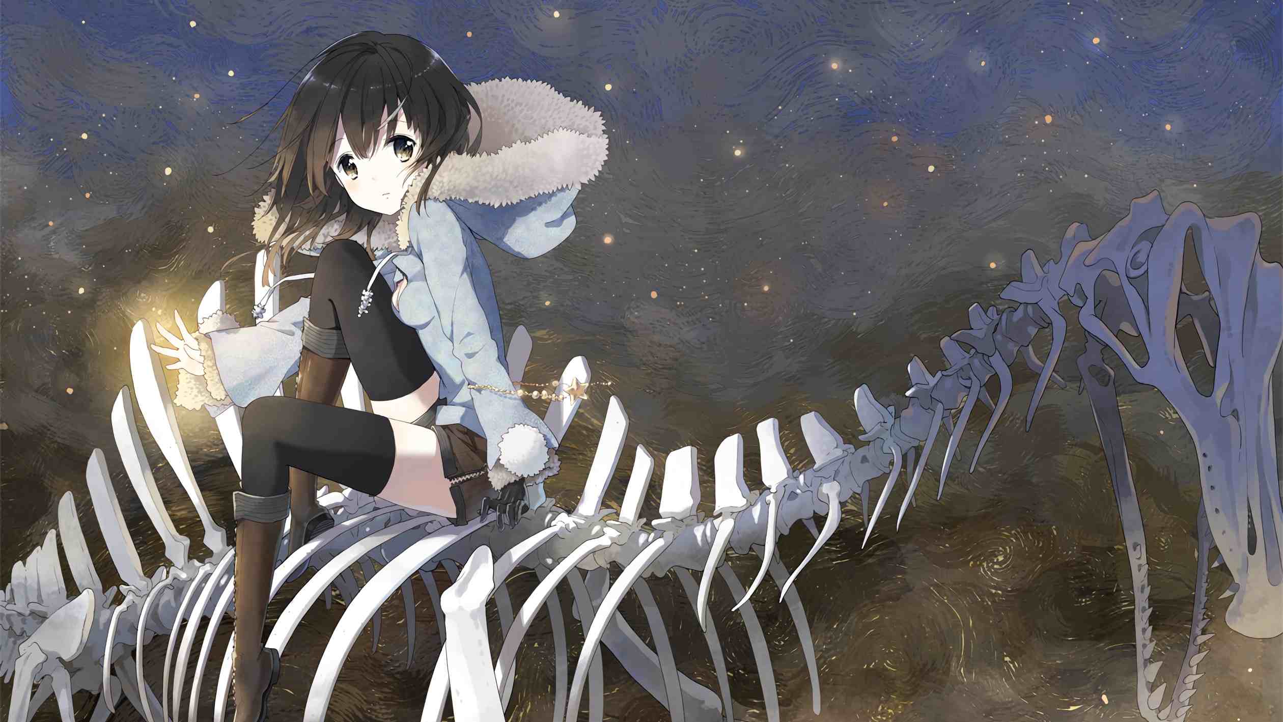 boxmoe_header_banner_img