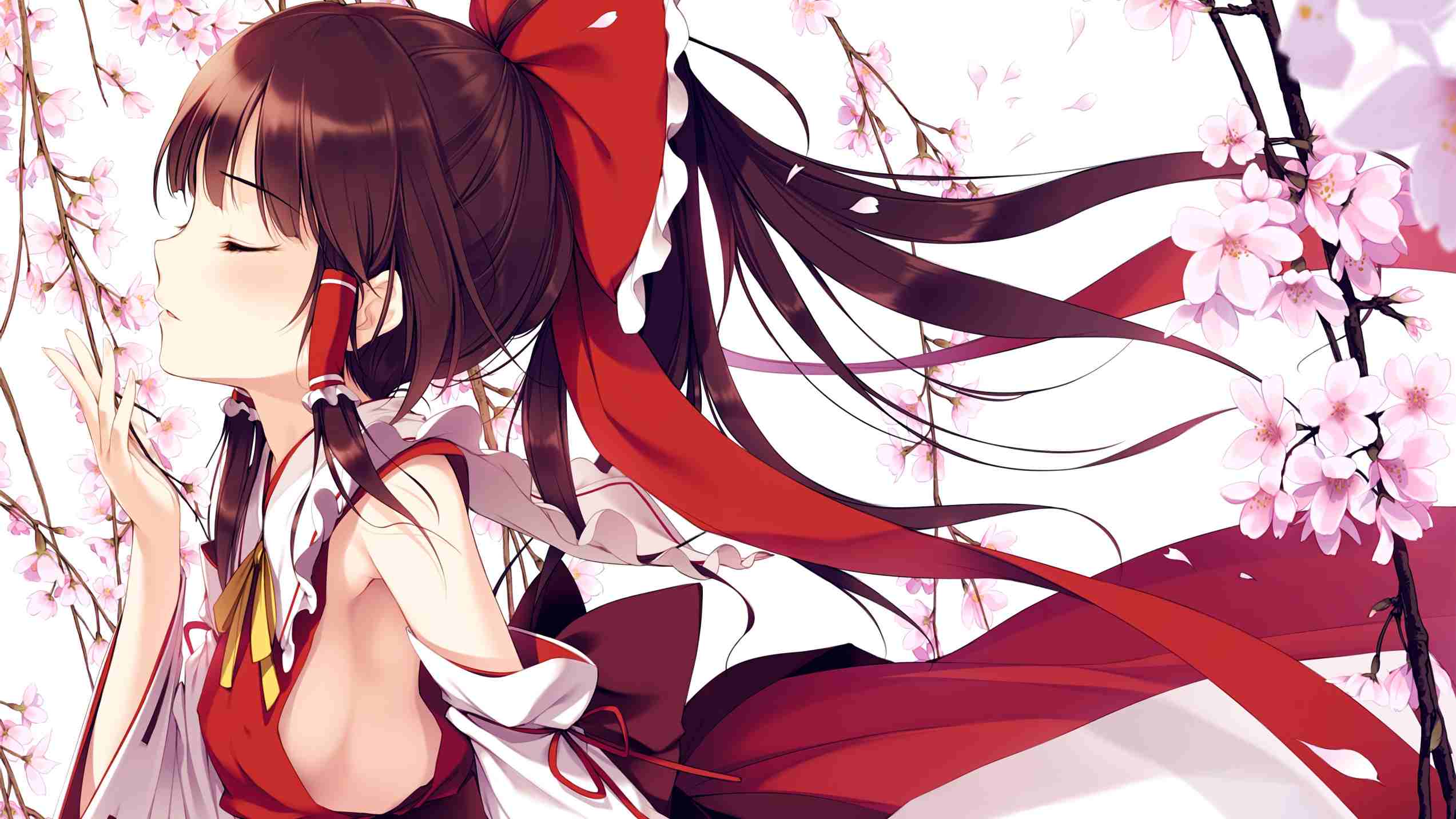 boxmoe_header_banner_img