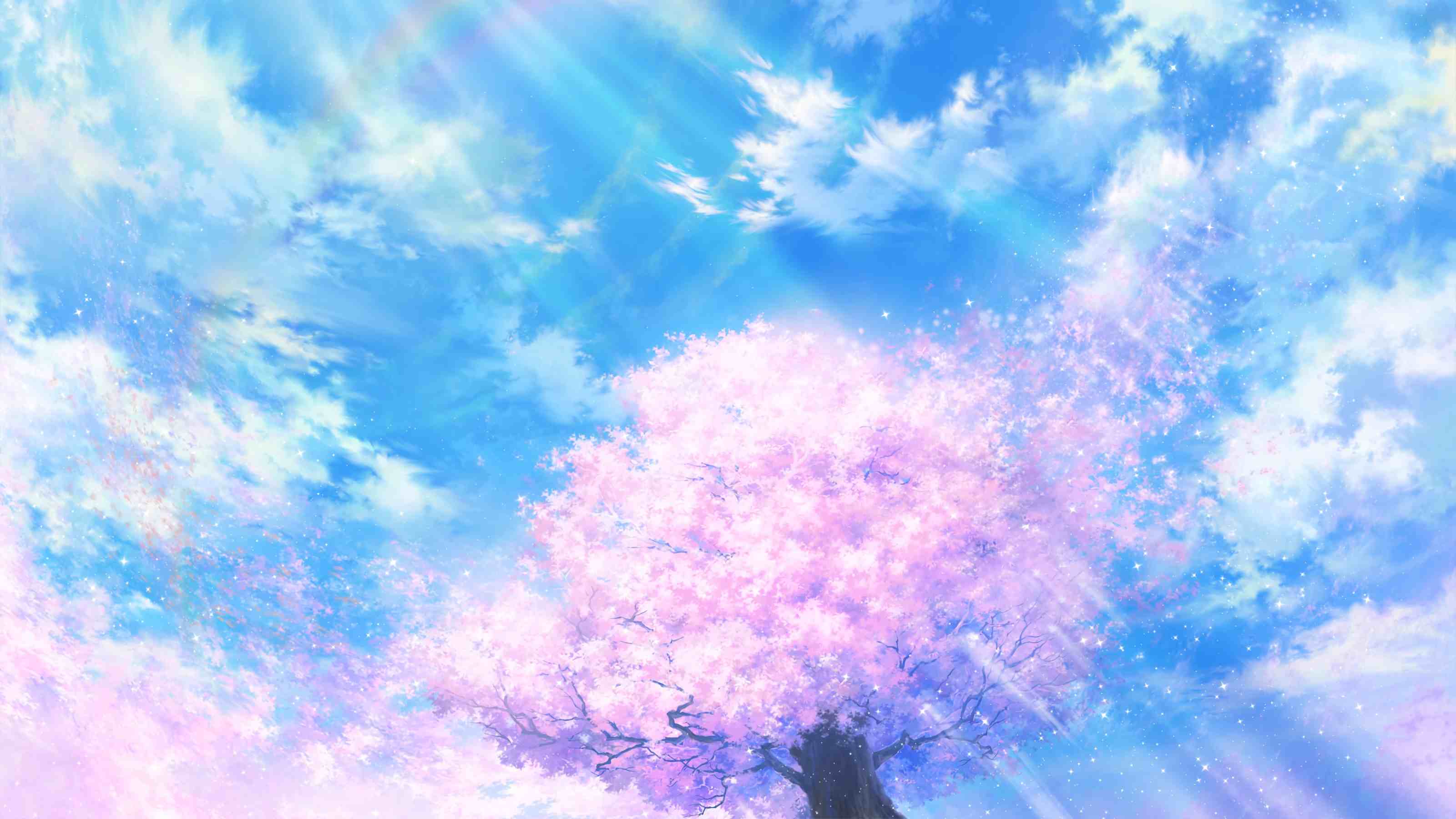 boxmoe_header_banner_img