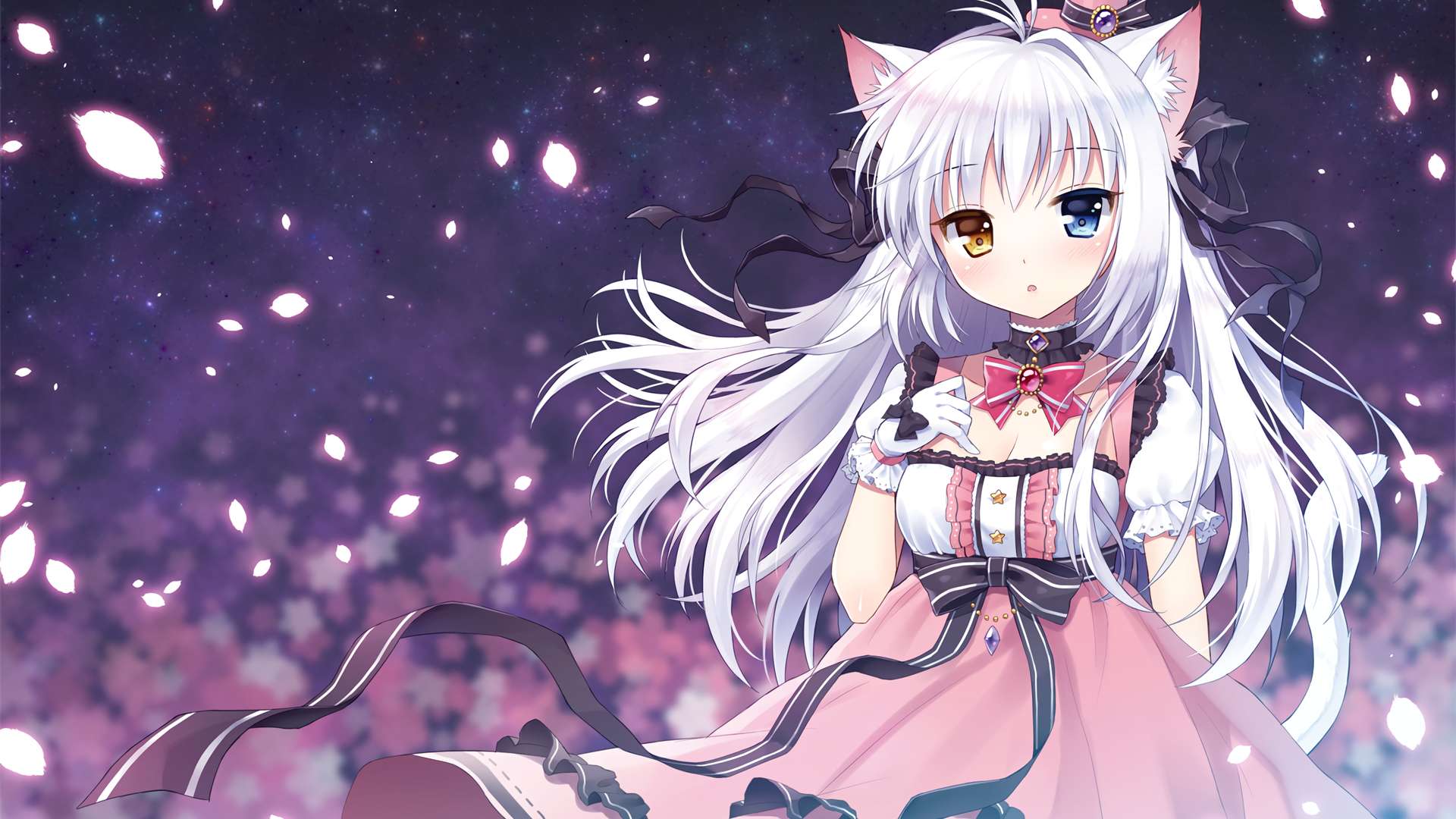 boxmoe_header_banner_img