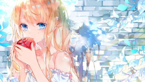 boxmoe_header_banner_img