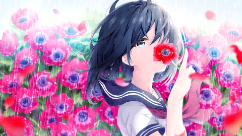 boxmoe_header_banner_img