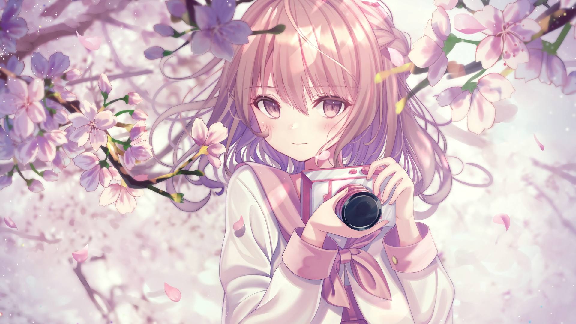 boxmoe_header_banner_img