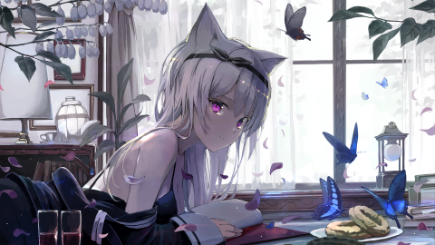 boxmoe_header_banner_img