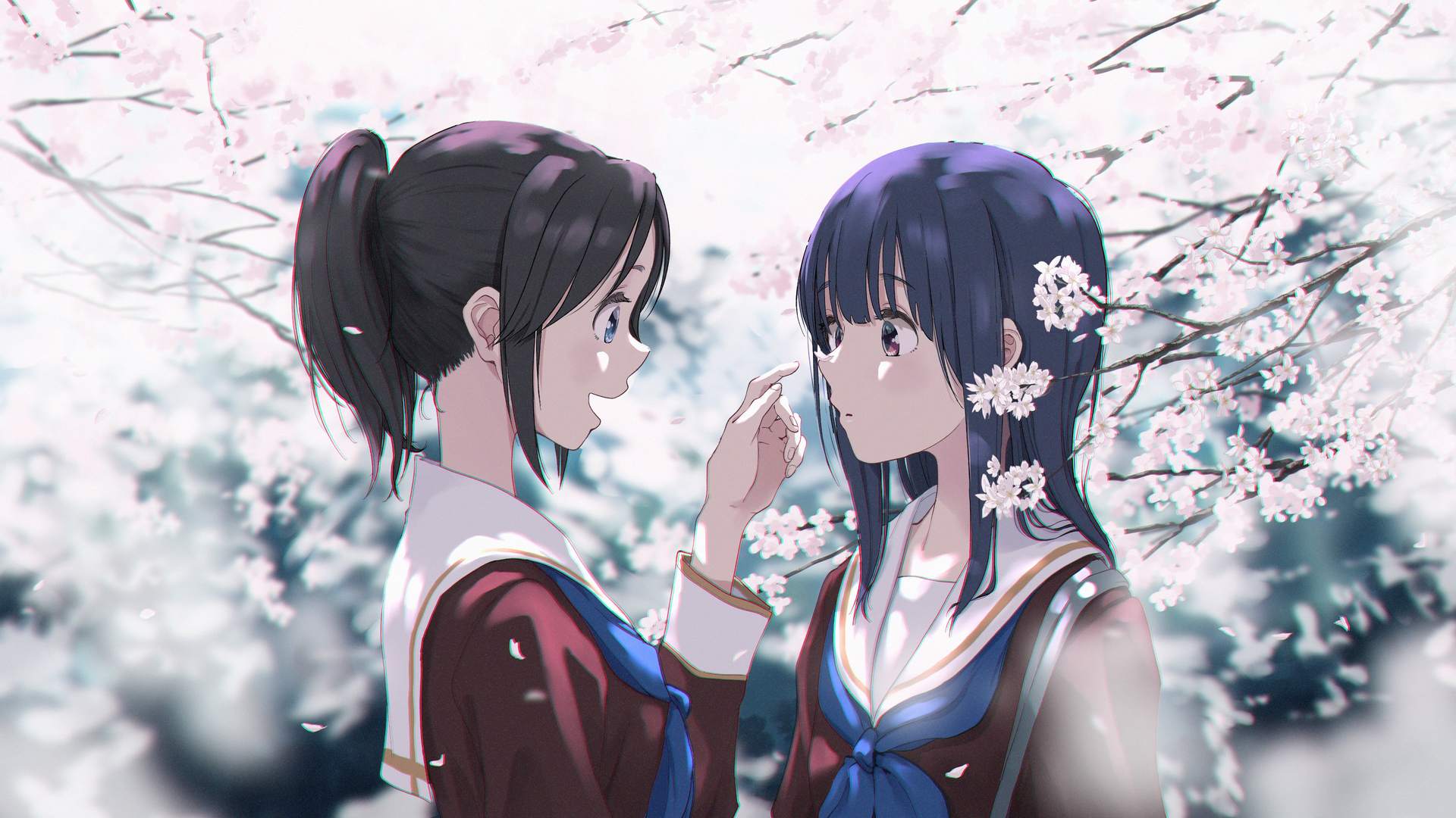 boxmoe_header_banner_img