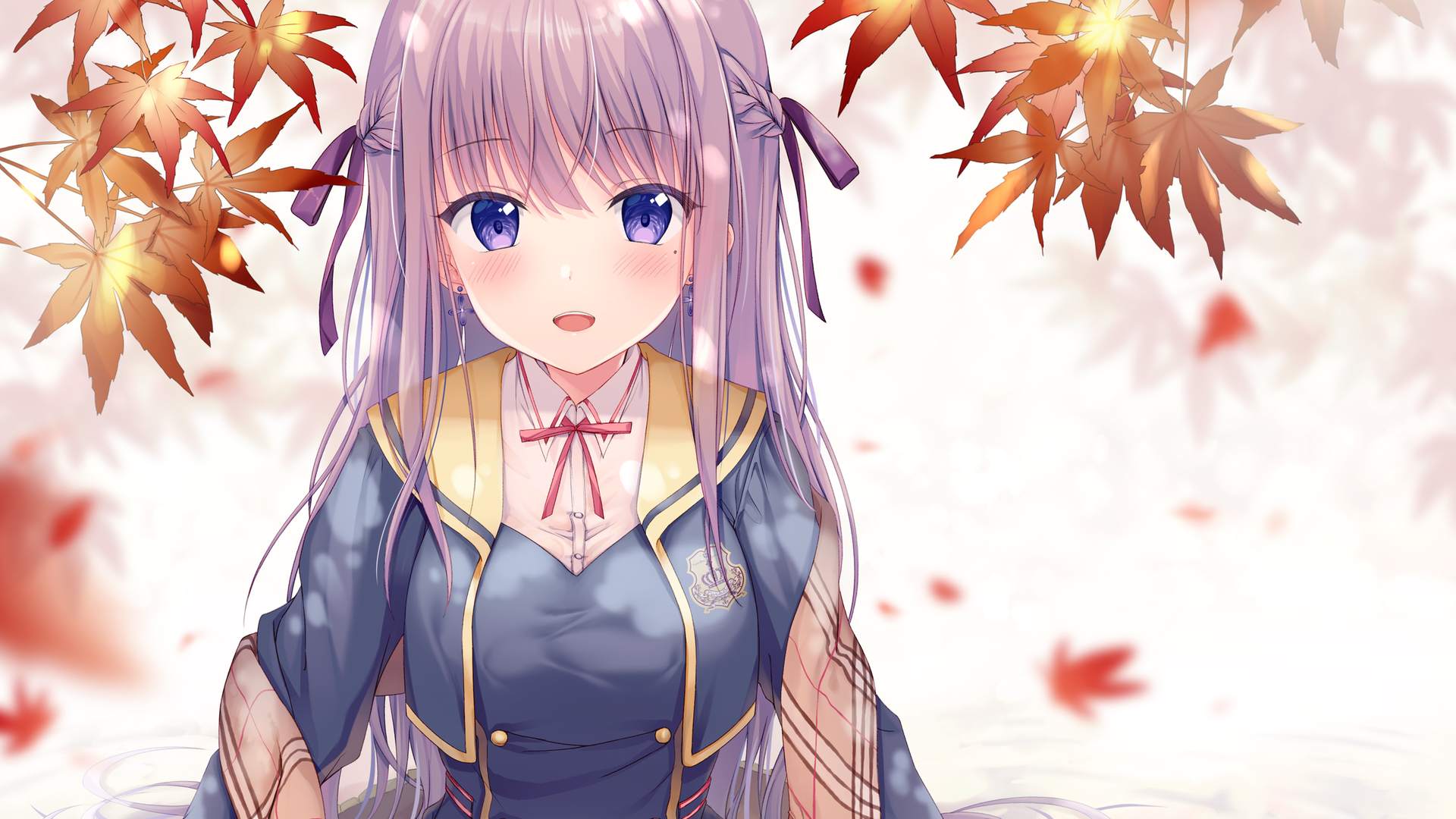 boxmoe_header_banner_img