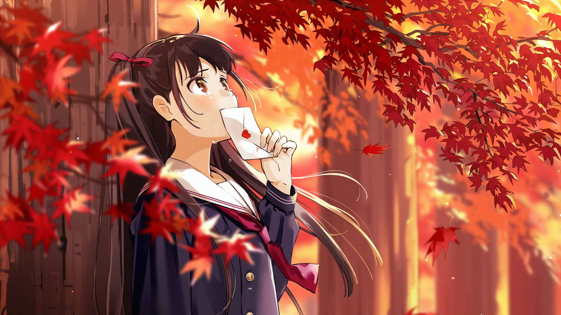 boxmoe_header_banner_img