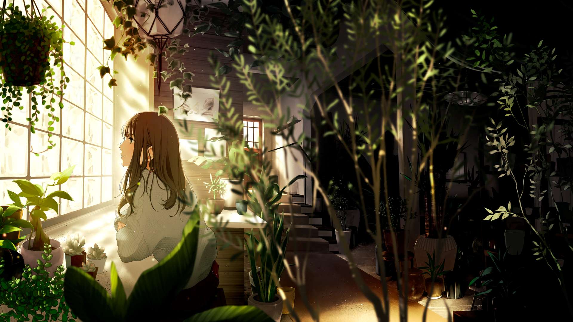 boxmoe_header_banner_img