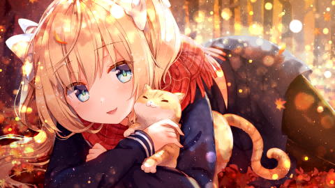 boxmoe_header_banner_img