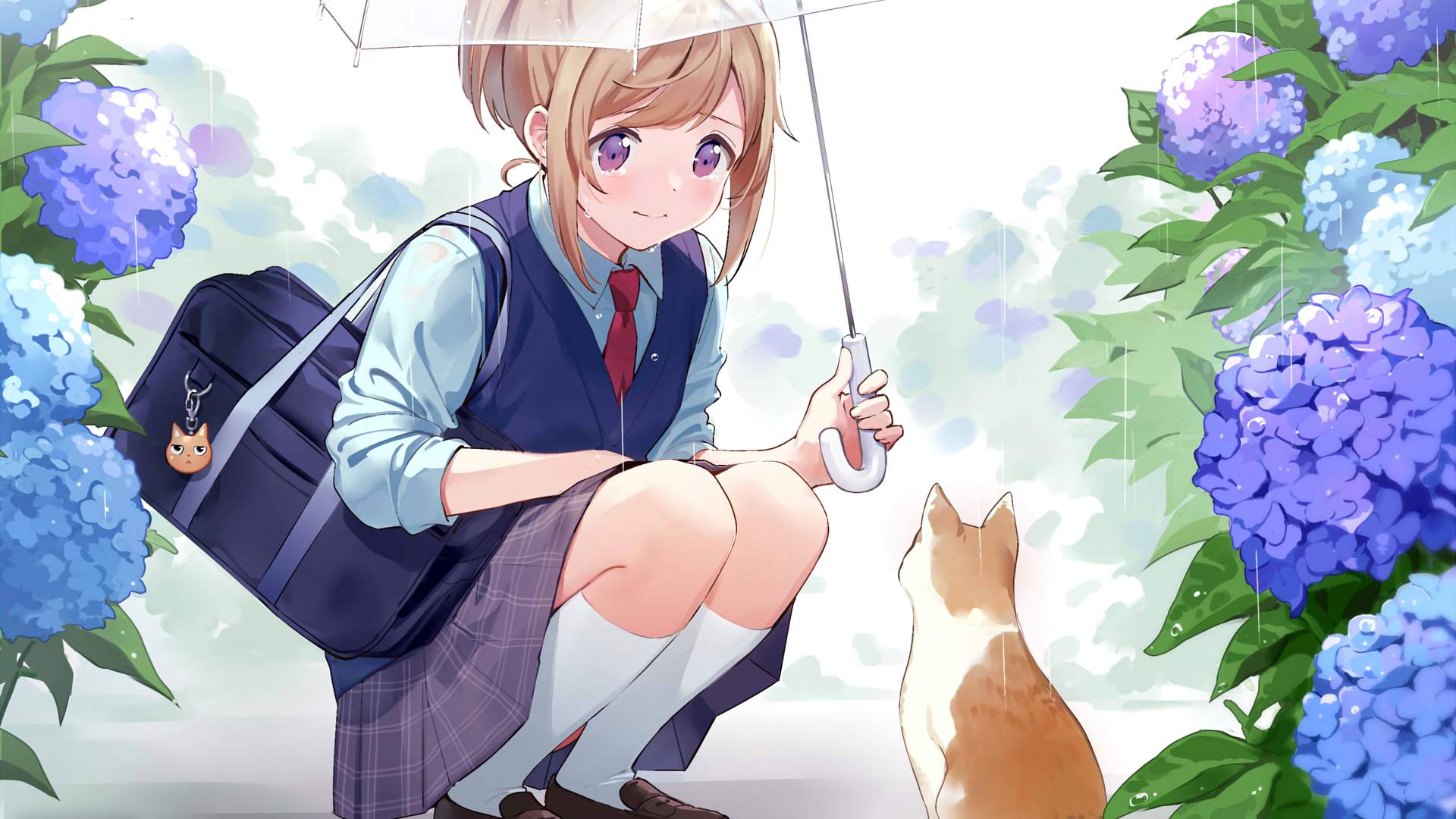 boxmoe_header_banner_img