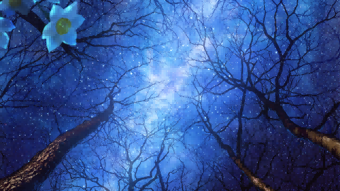 boxmoe_header_banner_img