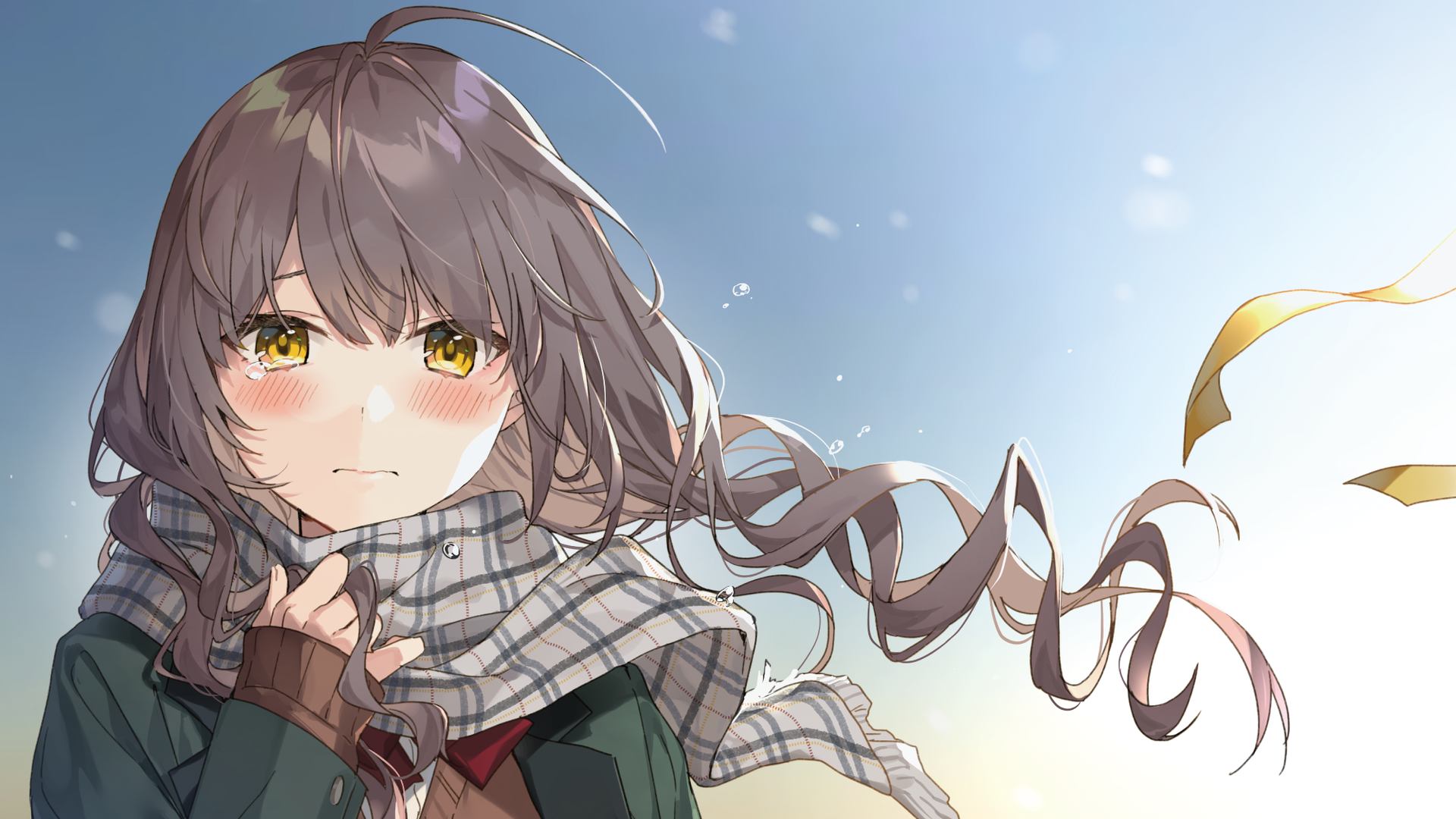 boxmoe_header_banner_img