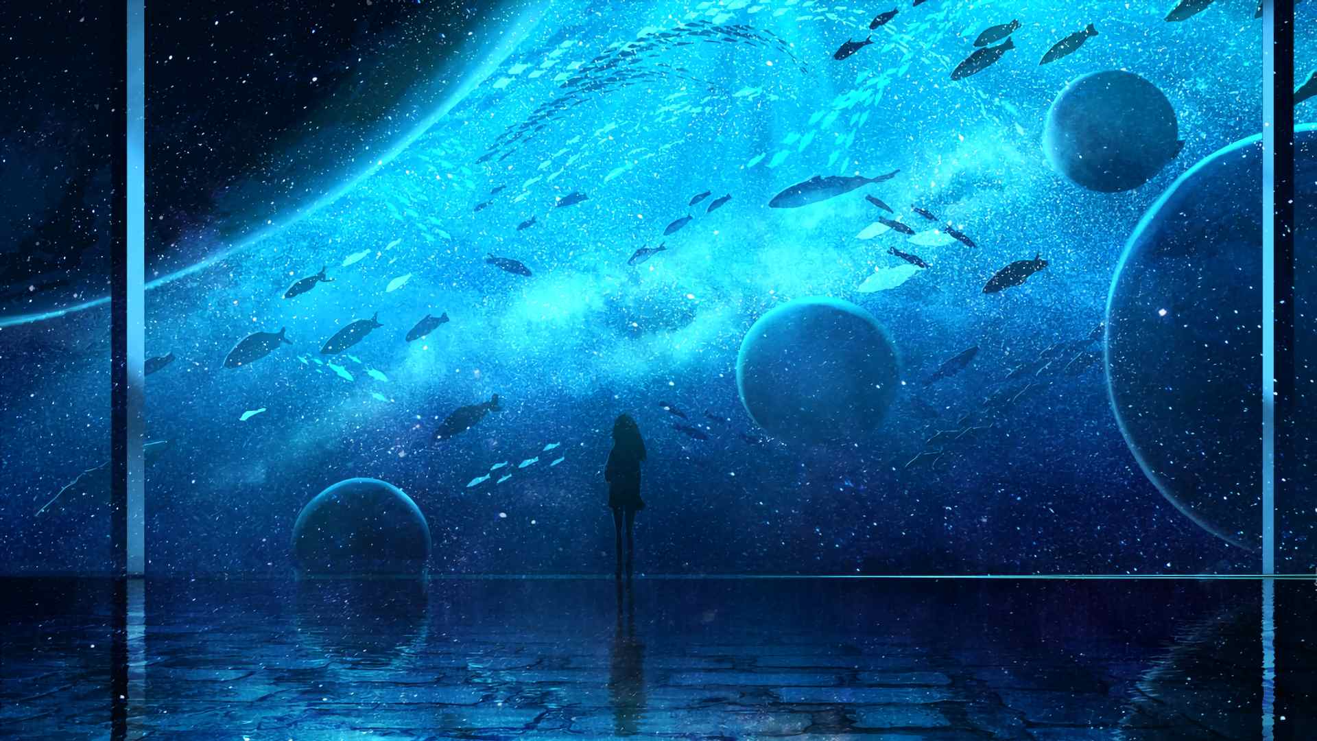 boxmoe_header_banner_img