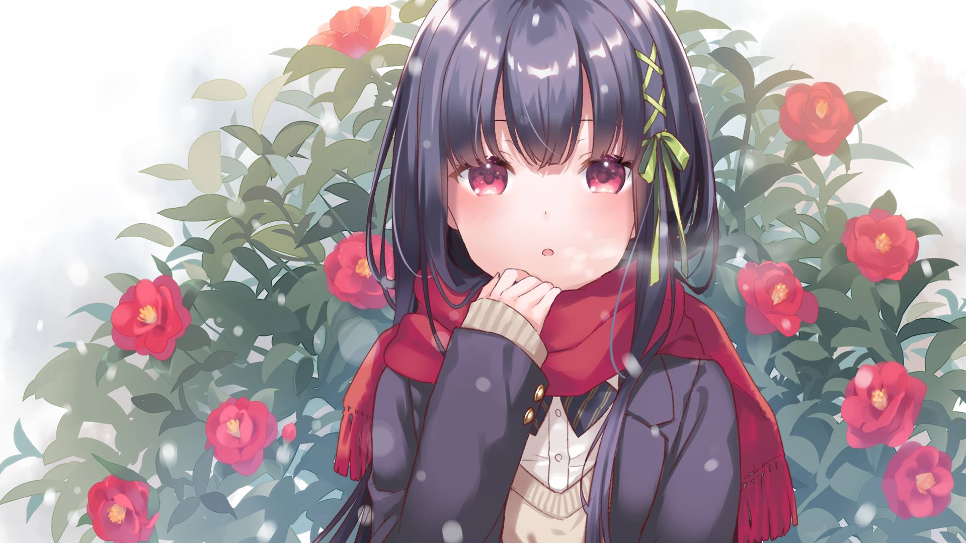 boxmoe_header_banner_img