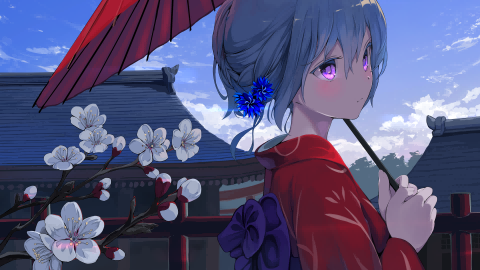 boxmoe_header_banner_img