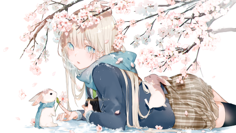 boxmoe_header_banner_img