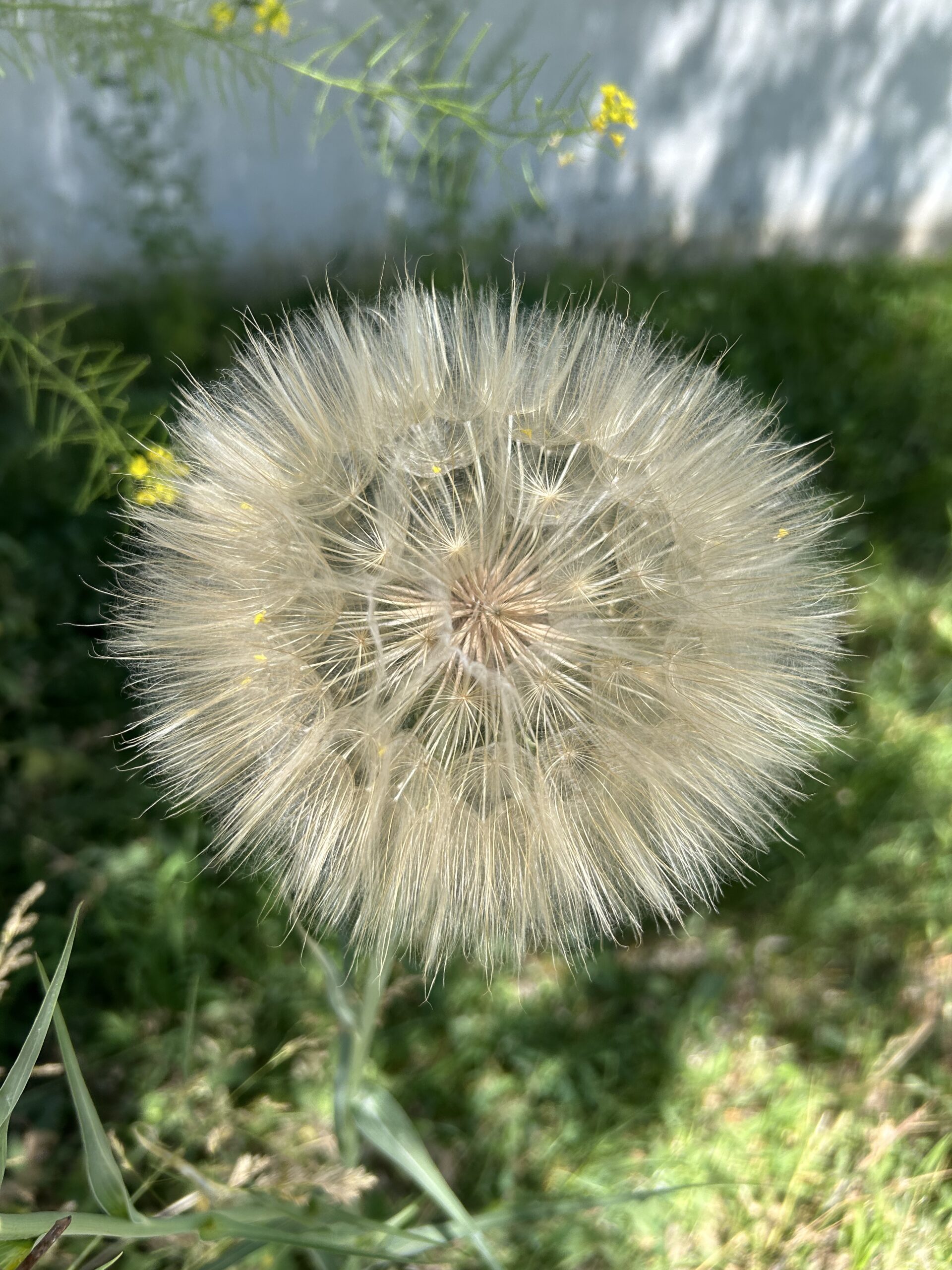 很有夏天的感觉