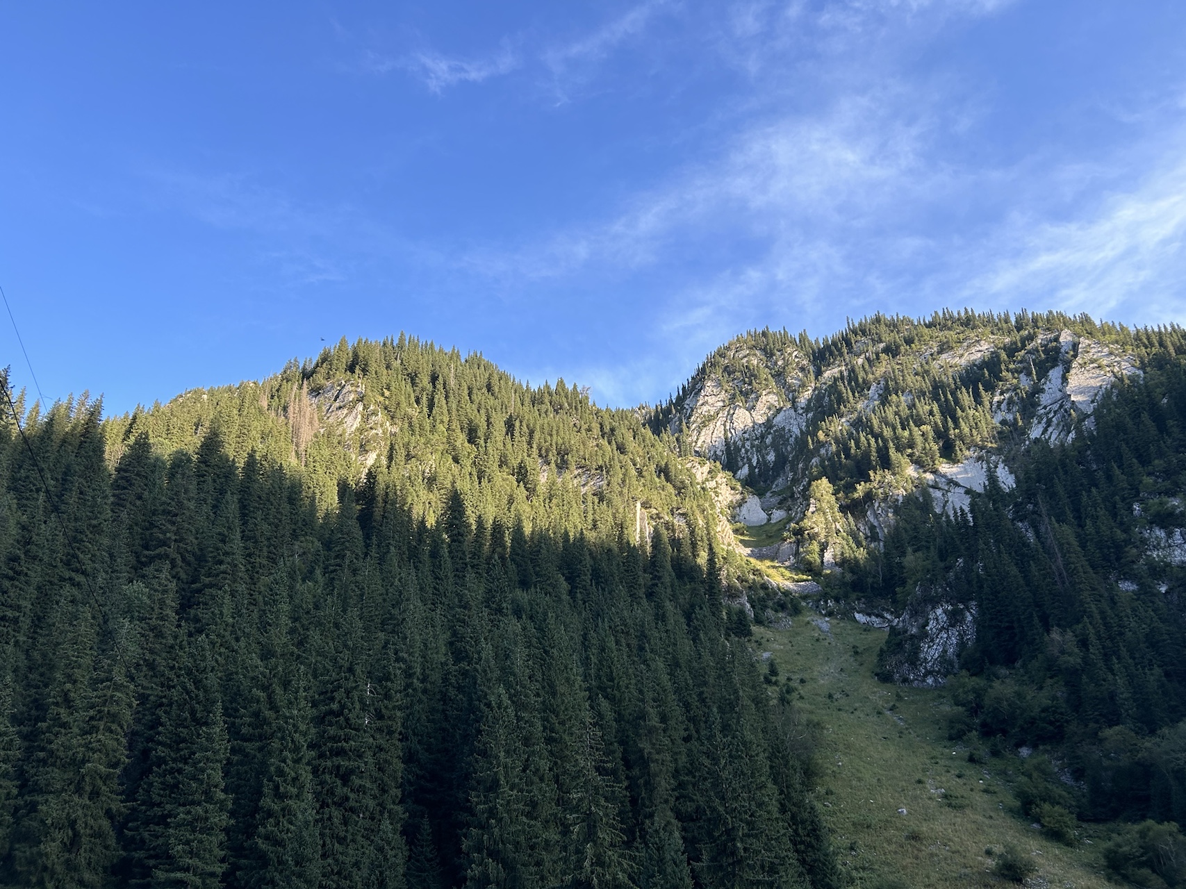 夏天，就要结束了