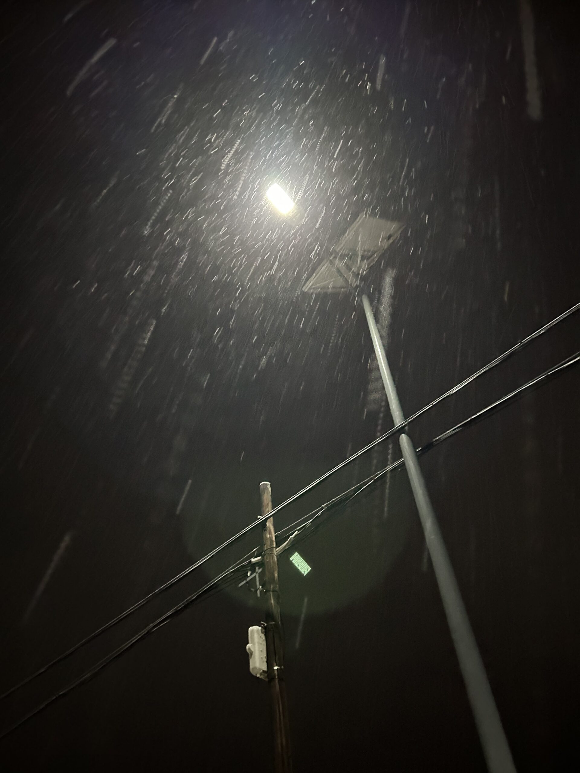 今年的第一场雪